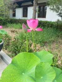 《冀》廊坊隆福寺｜大唐幽州長明燈樓