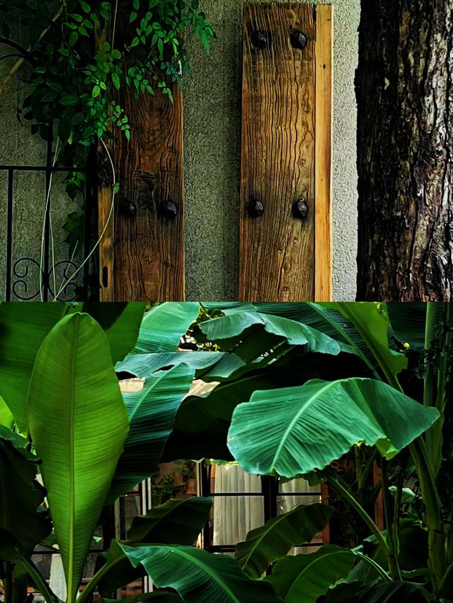 【古城·贰院茶社】‖城中的解悶聖地。