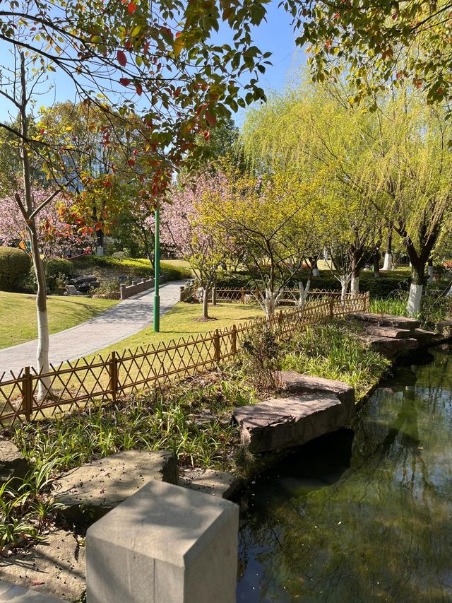寧波日湖公園丨迷霧森林。