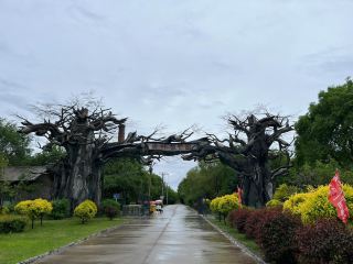 Suihua City, Heilongjiang Province ‖ Urban Forest Oxygen Bar.