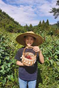 山裡秋天/採野花做蜜餞火鍋又私湯。