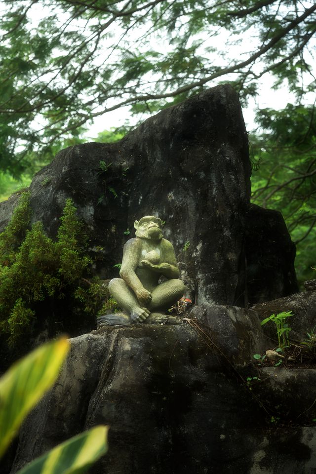 總有一次在公園相遇吧，我怕我會愛上這裡。