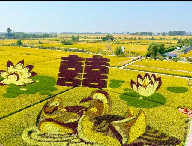 稻夢之境，田園奇景，一個不可以錯過的地方。