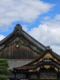🏯 二條城：歷史與樸雅交織的時光之旅