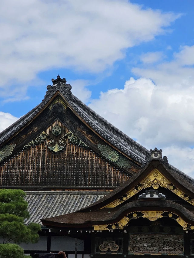 🏯 二條城：歷史與樸雅交織的時光之旅