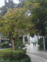 雲碧峰森林國家公園。