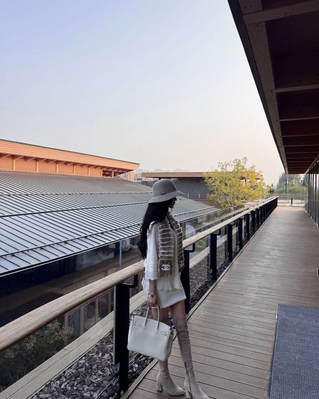探秘東京：溫泉美食與城市靈魂的獨特交響曲。