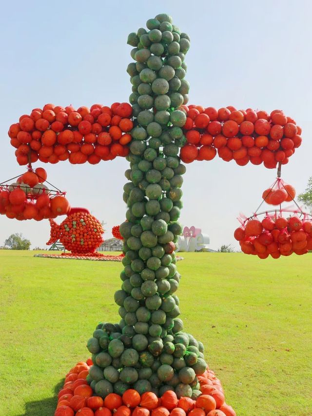 遛娃神器丨誤入南瓜園      合肥。