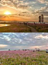 答應我！一定要去上海後花園阿勒泰！附路線哦！。