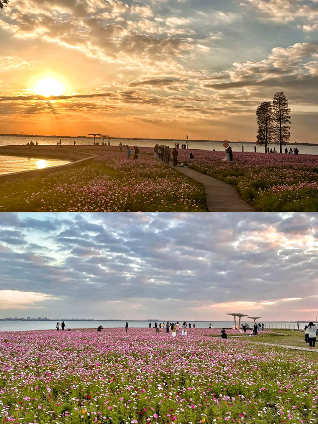 答應我！一定要去上海後花園阿勒泰！附路線哦！。