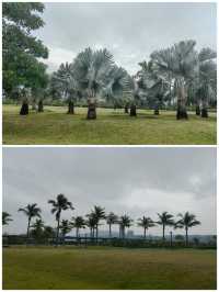 觀鳥者的樂園·珠海二井灣濕地。