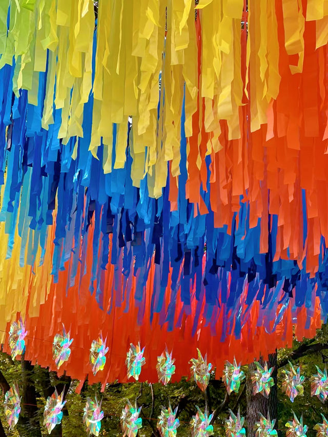 青島中山路的菊花盛宴，美得令人窒息！