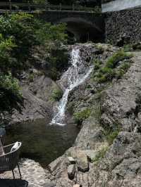 住進山裡大口吸氧。