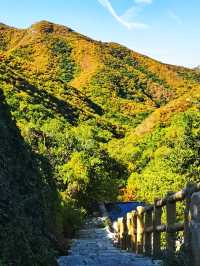 朝陽鳳凰山‖一山、三寺、兩舍利。
