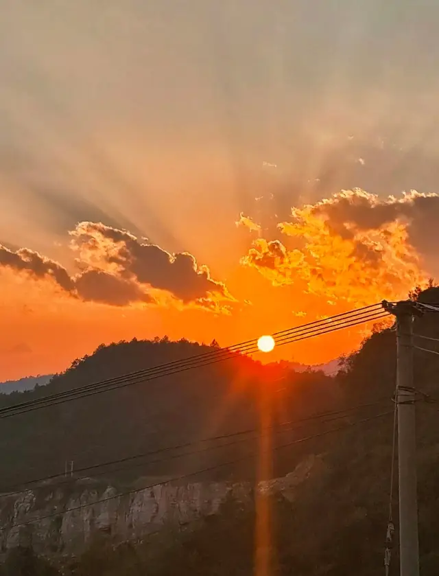 [Visit the Ancient Ginkgo Trees in Chapai Village, Wudang District, Guiyang in Autumn] 