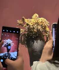 貴州博物館：藏品萬千，歷史與文化的瑰寶。