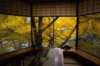 北京「銀杏之窗」—北京首都賓館。