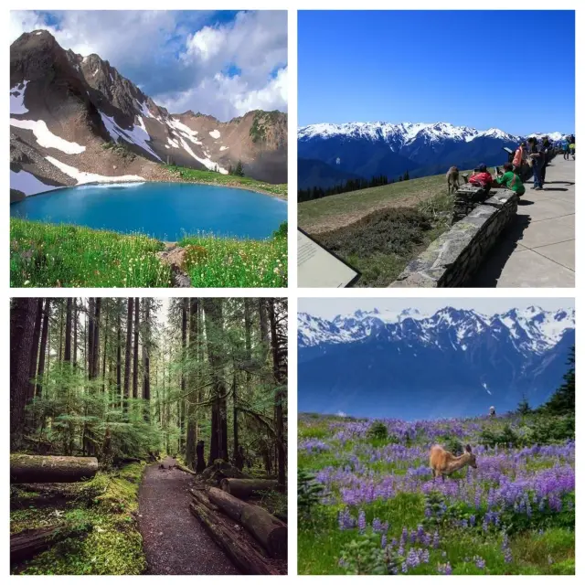 Seattle Travel Guide | Explore the City in Style. 