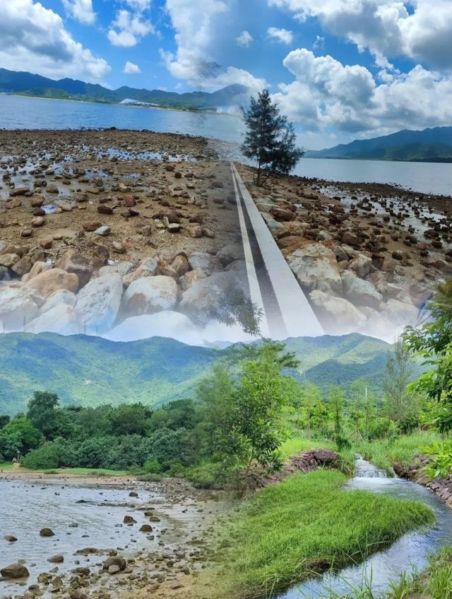 深圳白沙灣公園|邂逅自然之美,重拾生活。 深圳白沙灣公園|邂逅自然之美,重拾生活。