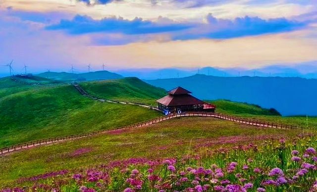 天啊，美得令人窒息！天上花海，貴州雲上屋脊