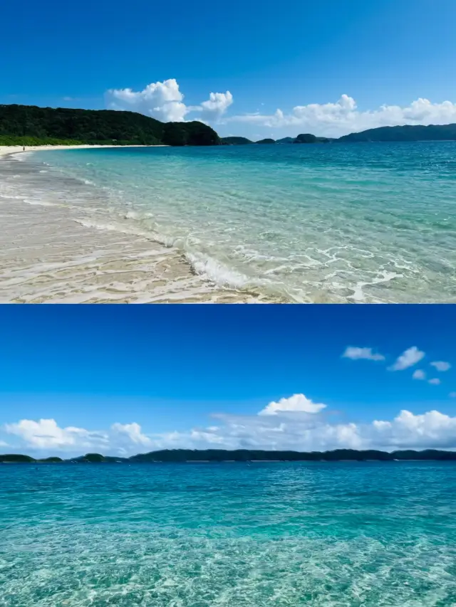 What did I see today - Zamami