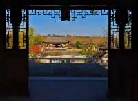 打卡濱江森林公園滈園