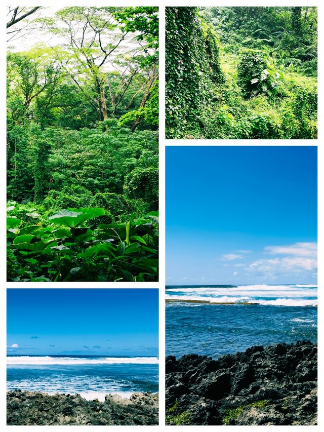 夏威夷可愛島，風光無限好的度假勝地