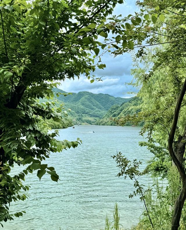 陝南一個人也沒有！彷彿在海邊絕美島嶼露營地