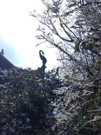 【絕美自駕行】華蓥寶鼎，邂逅1,600米高空雪域仙境