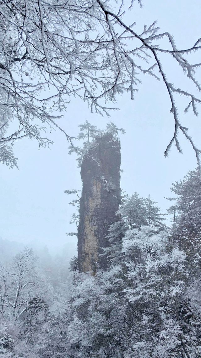 賞雪光霧山，邂逅夢幻冬景