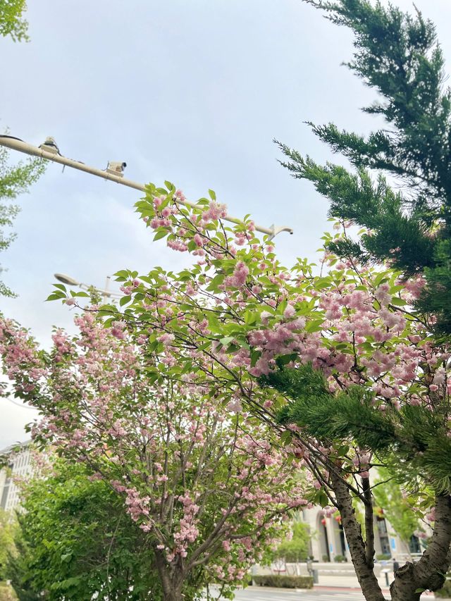 寒假老友約伴遊延安甘泉大峽谷-波浪谷玩樂指南