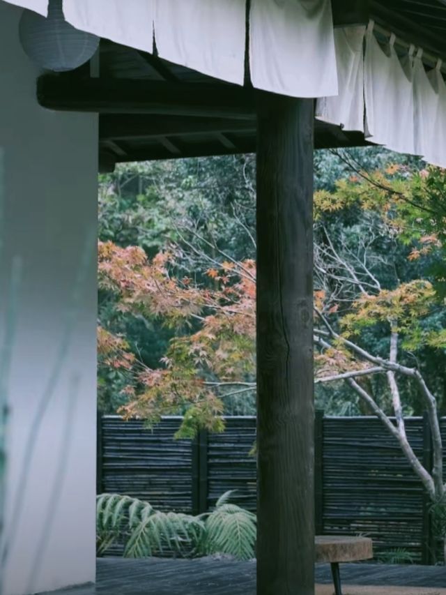 在安吉發現寶藏！山林中的私人溫泉！