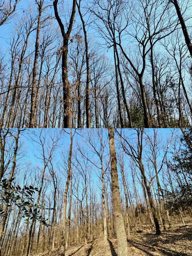 穿越二郎山，探秘神秘的茶馬古道