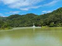 2. 解鎖白江湖森林公園，這些打卡點不容錯過！