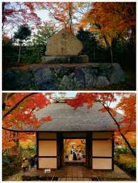京都·常寂光寺「伏在山坡的美人」體驗和服之美