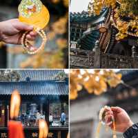 地鐵直達｜滿園金色，寶輪寺的銀杏黃了❗️||屬於重慶的冬日氛圍感已經拉滿