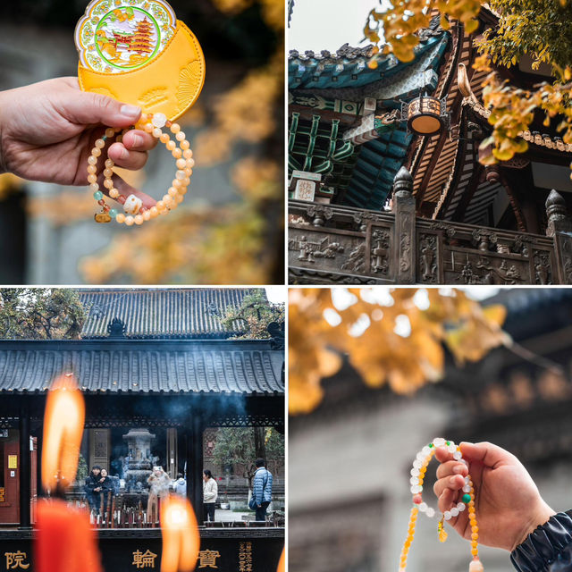 地鐵直達｜滿園金色，寶輪寺的銀杏黃了❗️||屬於重慶的冬日氛圍感已經拉滿
