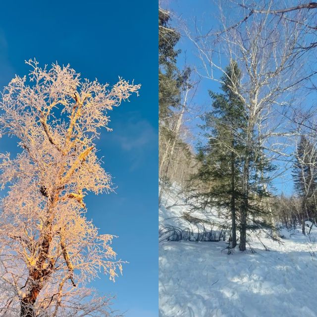 冰雪畫廊太美啦˃̶͈˂