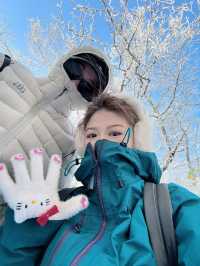 西安出發40分鐘 | 秦嶺冬日雪國秘境登高賞雪