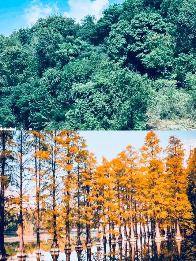 Its beauty is hard to resist