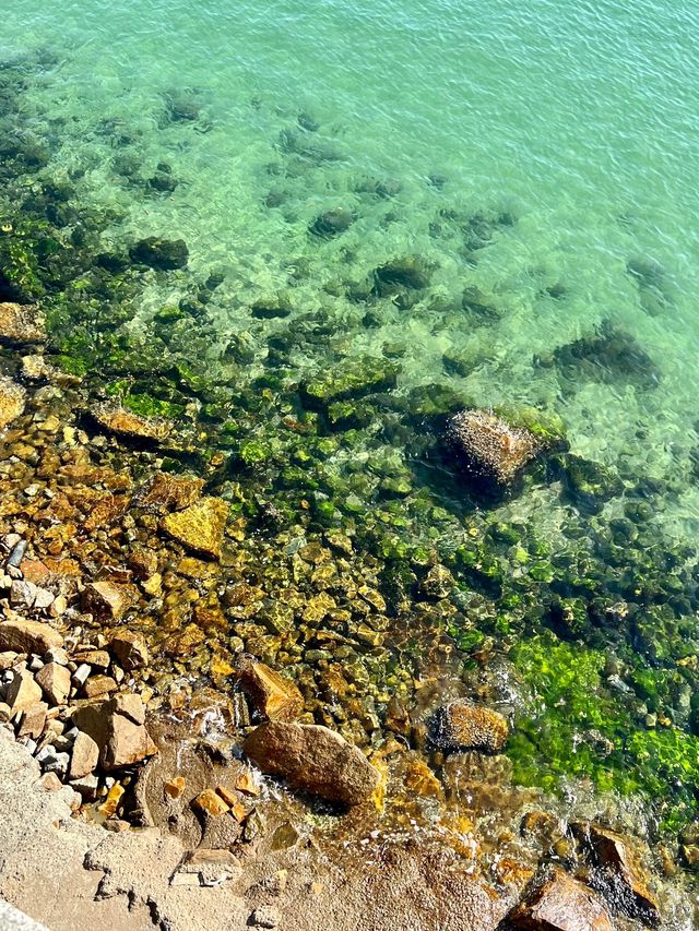 深圳2日遊 玩轉全城嘅秘密攻略