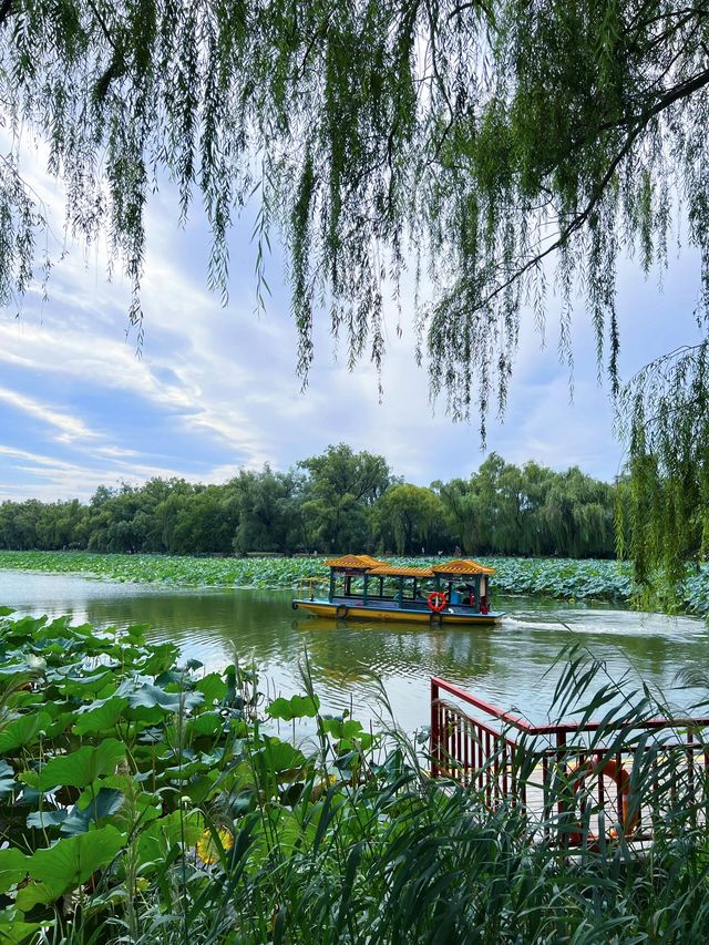 穿越時光的皇家園林華章頤和園——頤和園