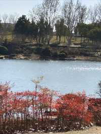 隱藏在城市中的寶藏公園，景美人少，少人知曉