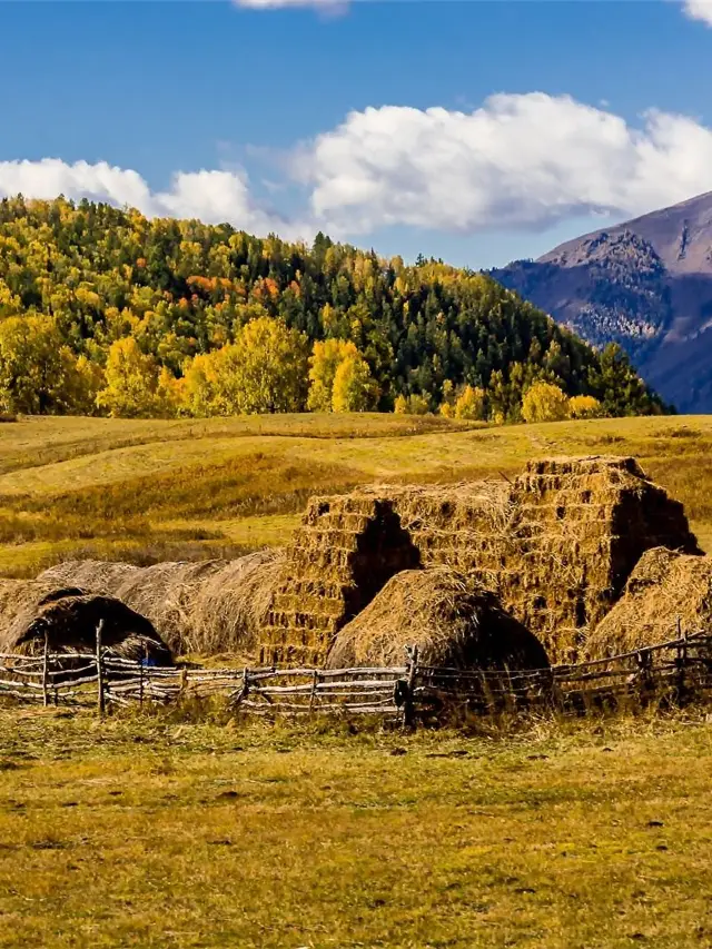 Northern Xinjiang - Urumqi Skiing Guide