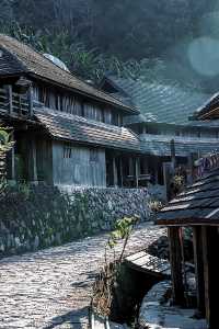 茗韻景邁——世界遺產：普洱景邁山古茶林文化景觀