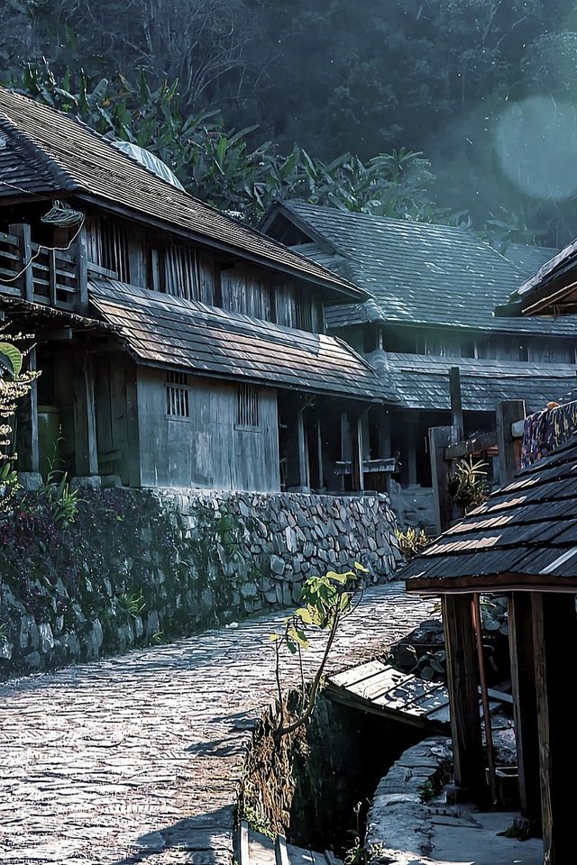 茗韻景邁——世界遺產：普洱景邁山古茶林文化景觀