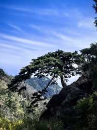 6日玩遍青島-泰安-濟南 超詳細攻略來啦