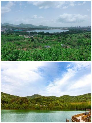 Jingzhou Huangshantou National Forest Park
