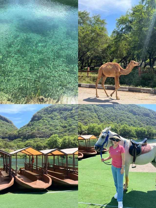 塞拉萊：邂逅阿拉伯半島的浪漫綺夢
