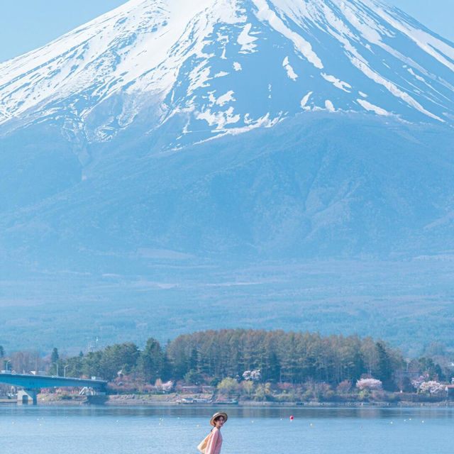 不跟風真的超爽！私藏富士山景位攻略✨ 